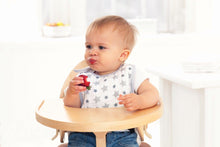 Load image into Gallery viewer, aden + anais twinkle 3 pack snap bib