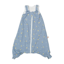 Load image into Gallery viewer, ergobaby on the move – stellar 18-36 months