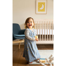 Load image into Gallery viewer, ergobaby on the move – stellar 18-36 months