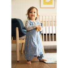 Load image into Gallery viewer, ergobaby on the move – stellar 18-36 months