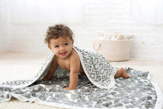 aden + anais silky soft blanket in motion wedges
