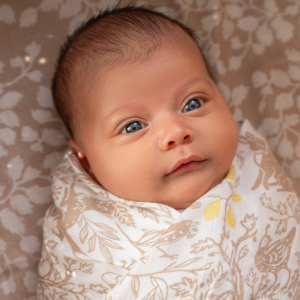 A+A Silky Soft Muslin Swaddle 3pk - Natural Woodland
