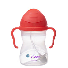 Load image into Gallery viewer, Sippy Cup - Watermelon